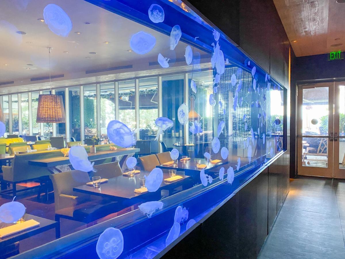 W Residences Fort Lauderdale Luxury Suites Across From Fort Lauderdale Beach Esterno foto